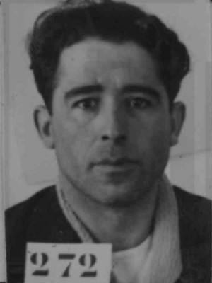 álvaro augusto ferreira