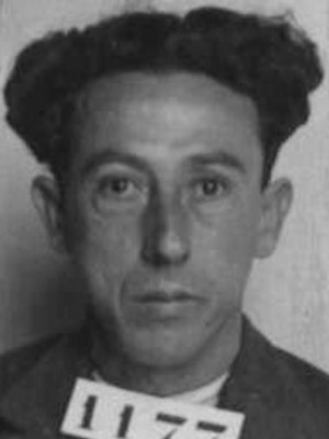José Júlio Ferreira